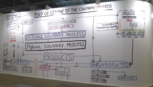 mapa genoma proceso culinario